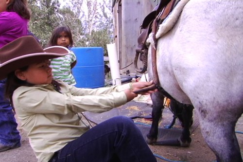 Cowboys, Indians and Education: Regenerating Secwepemc Culture and Language