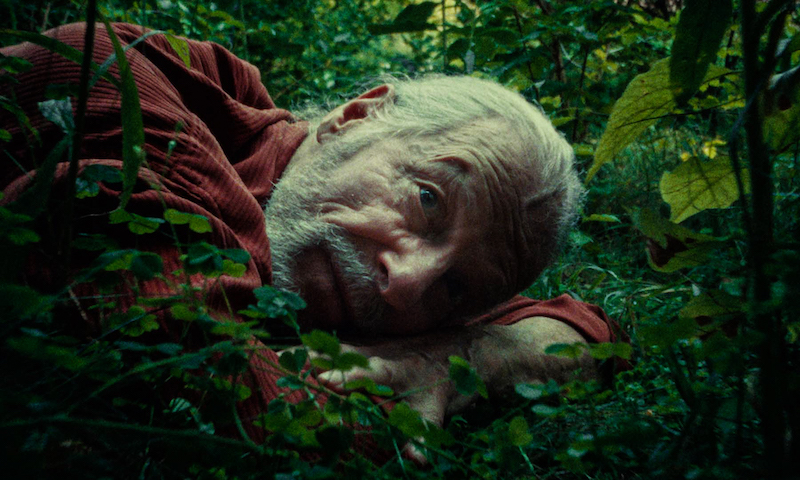 A Wolf in the Suburbs